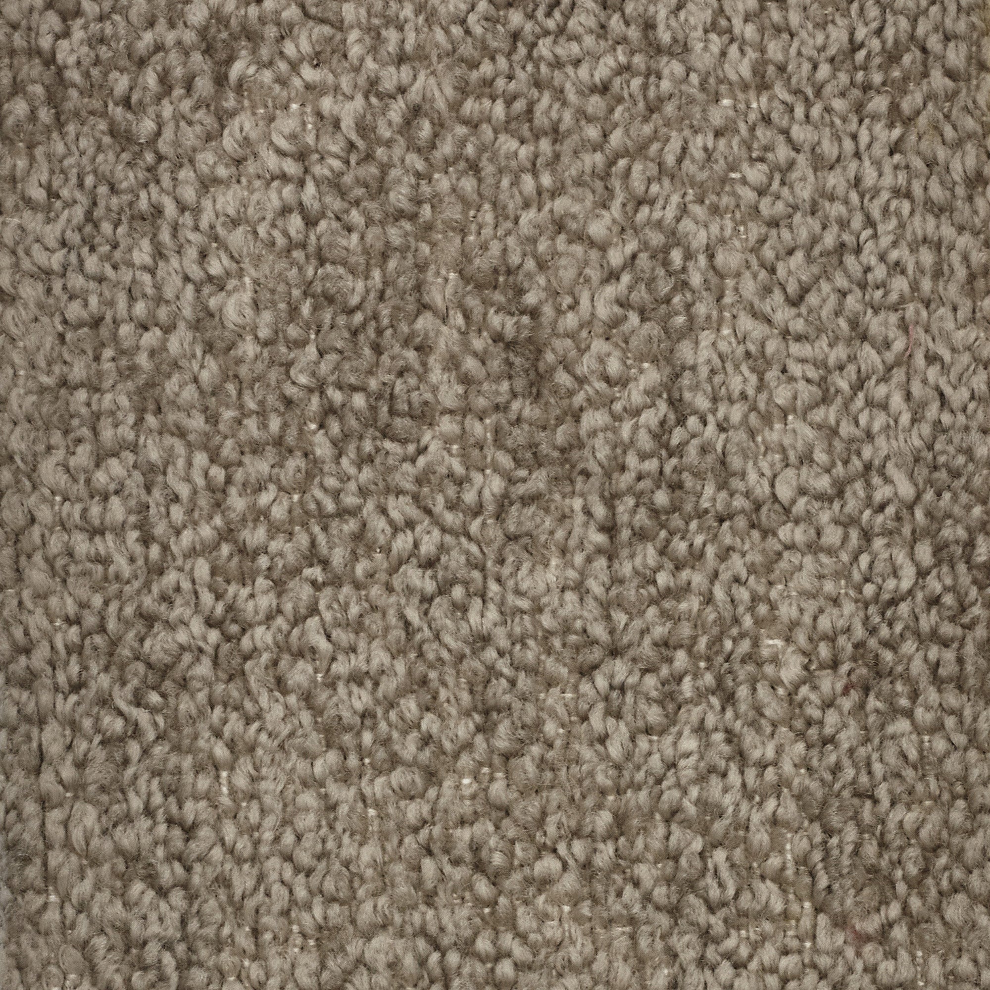 T21 Favola morbido Bouclé ricercato con trattamento impermeabile - divani.store