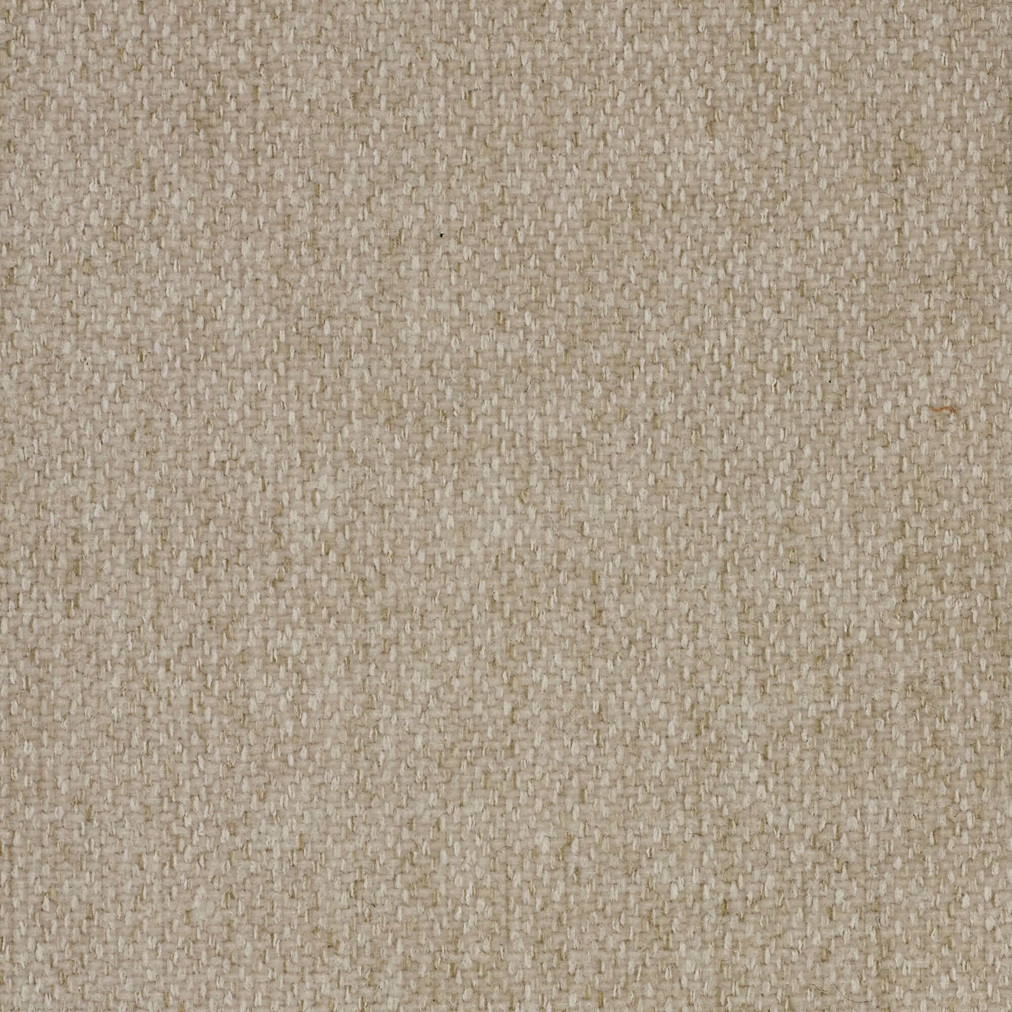 Leonida divano letto sfoderabile e materasso H18 cm - vano portaguanciali in tessuto Smacchiabile T23 beige