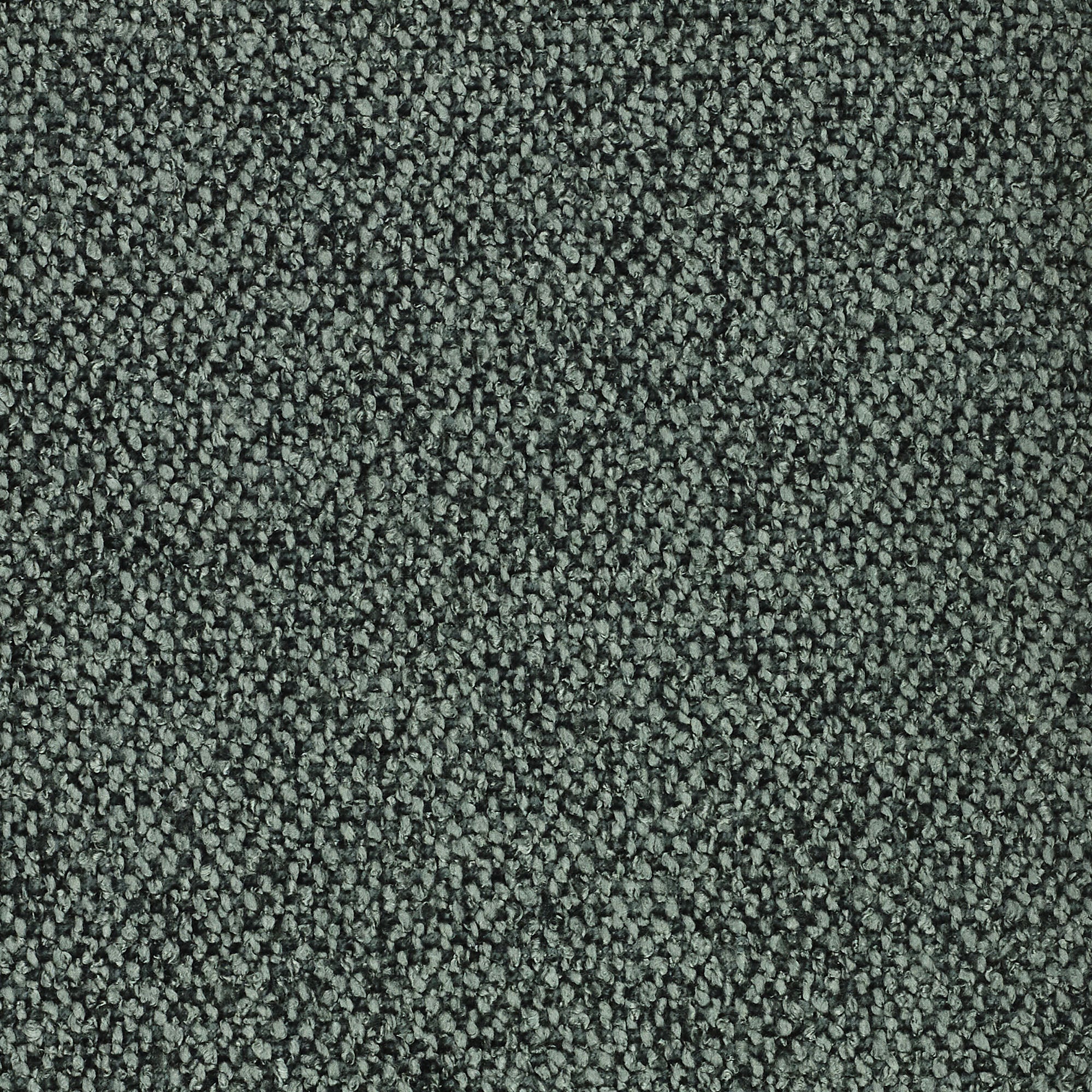 Primo piano del tappeto T33 Lambada di Divani.Store, un tappeto grigio scuro con un fitto vello ad anello. Realizzato in tessuto smacchiabile di fresco cotone, impermeabile per una facile pulizia e un'eleganza duratura in ogni spazio.