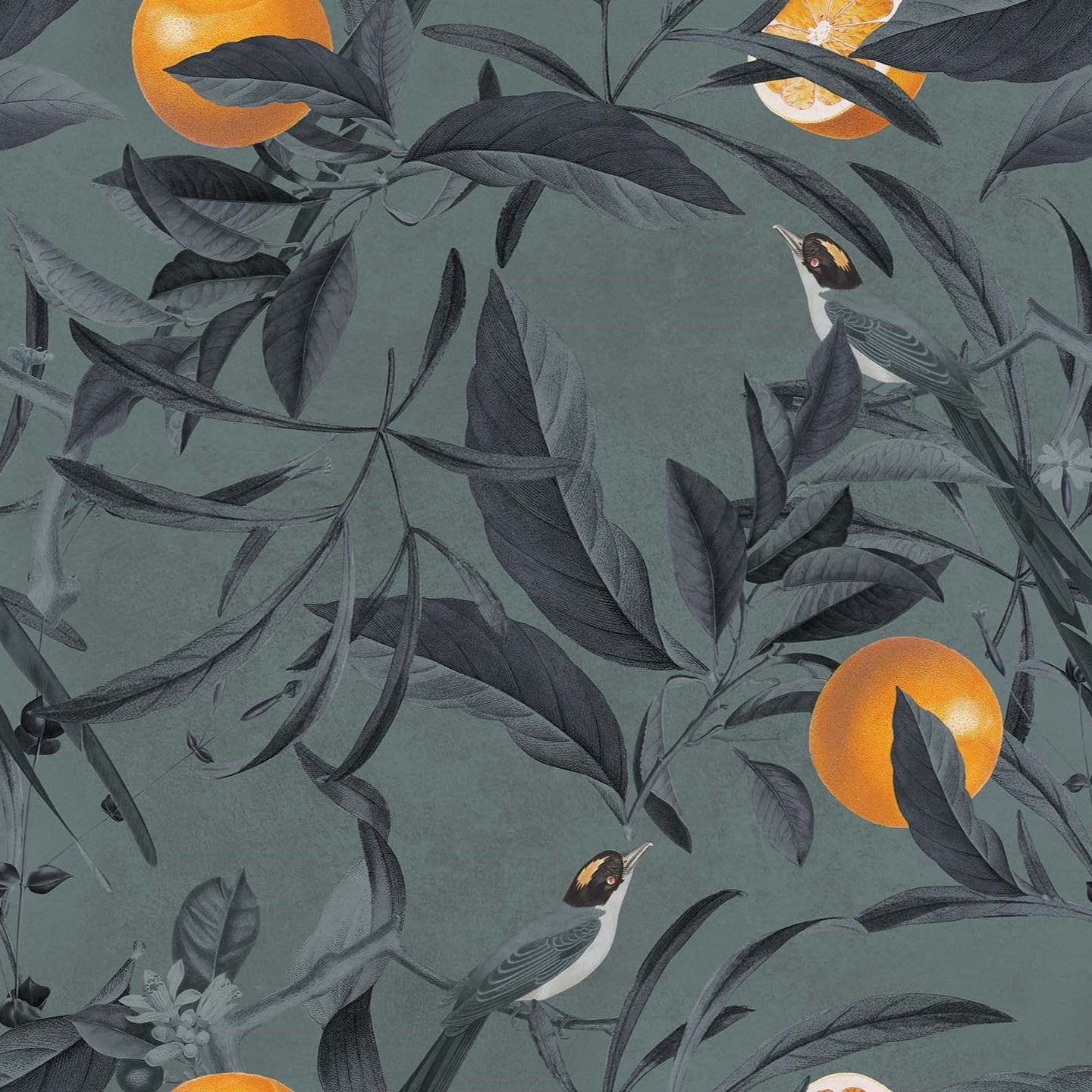 Lemon elegante collezione di cuscini a fantasia in velluto impermeabile - divani.store