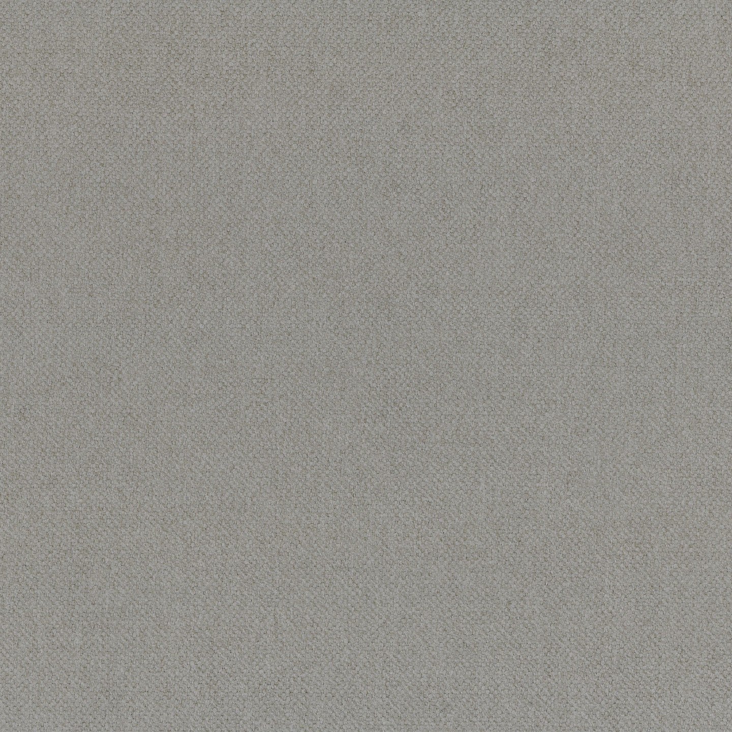 Un primo piano di Personalizzazione in T25 di Divani.Store mostra un tessuto grigio chiaro con una trama fine e uniforme. La superficie è liscia, con piccoli intrecci di fili e nessuna variazione di forma o colore visibile.