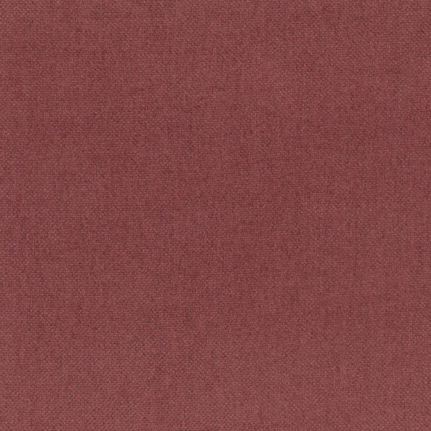 Una vista dettagliata di Personalizzazione in T25 di Divani.Store mostra una texture fine e uniforme in un tenue marrone rossastro, che ricorda un'accogliente tappezzeria con sottili variazioni di tono e nessun disegno visibile.