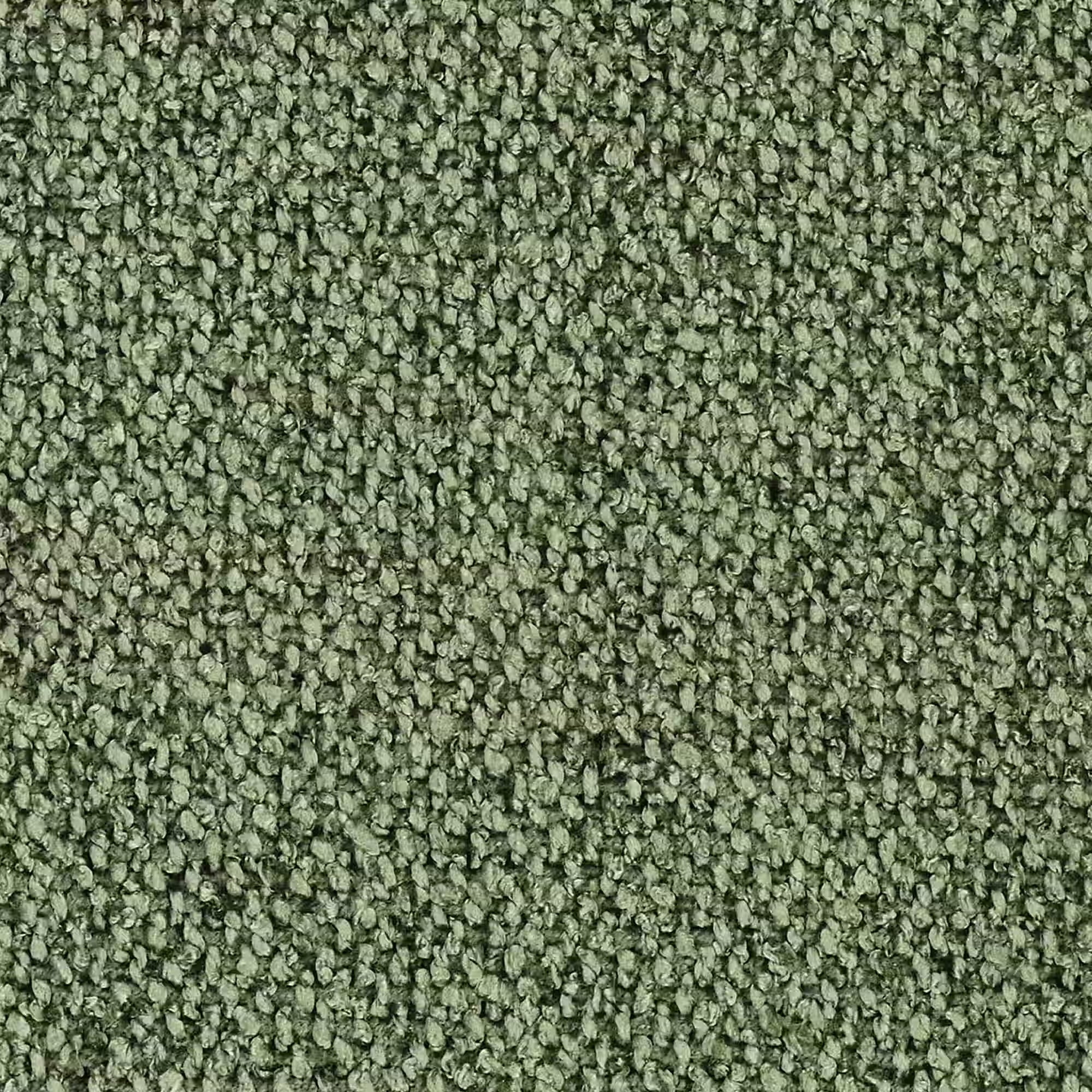 TOMMY VERDE SALVIA -t