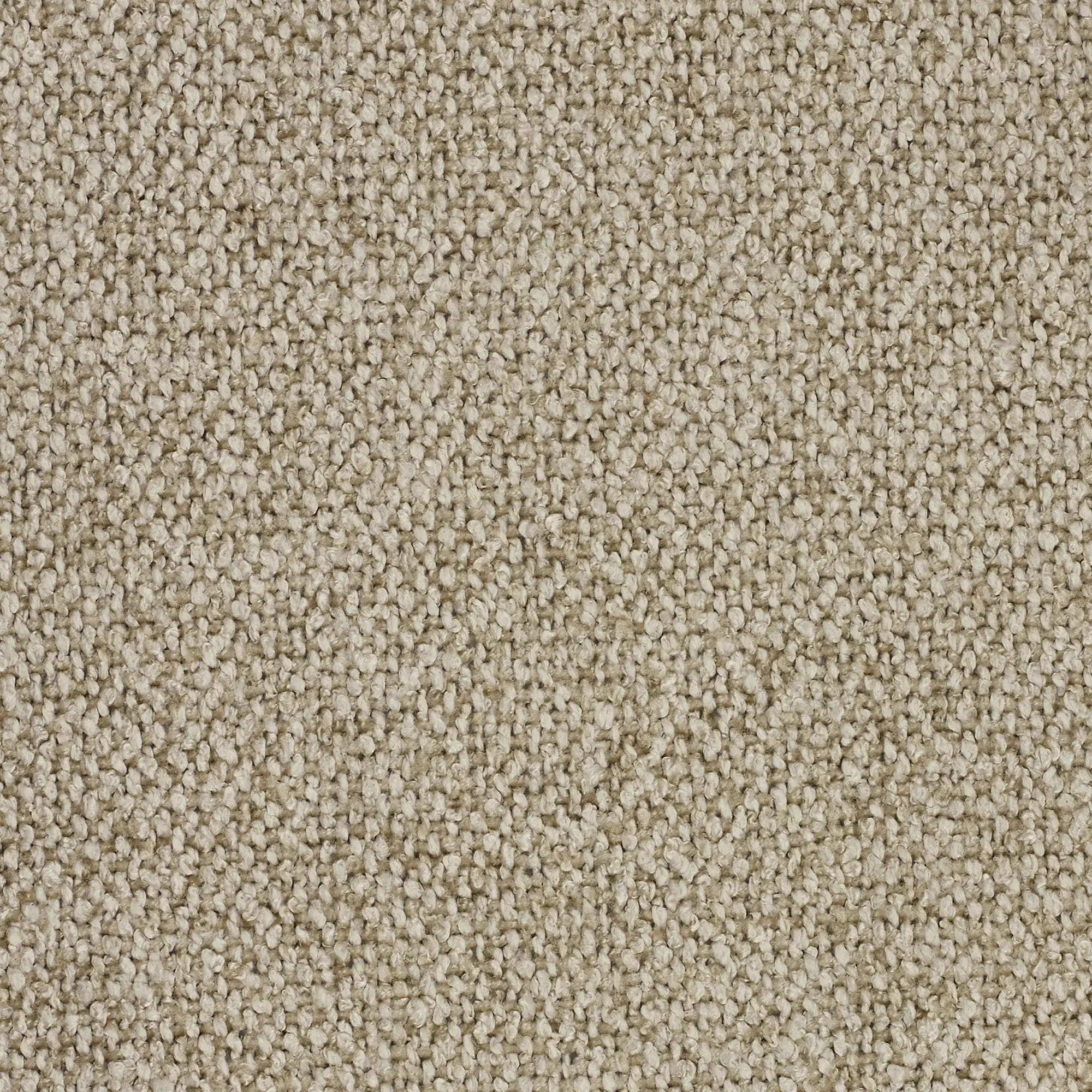 TOMMY BEIGE SABBIA -t