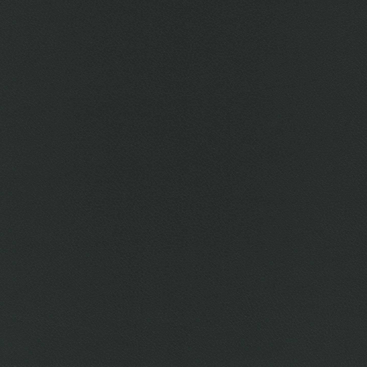 Clizia letto imbottito di design con vano contenitore in ecopelle impermeabile T04 antracite - divani.store