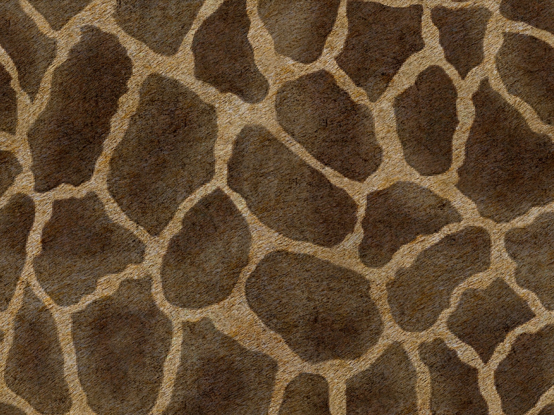 Wild cuscino in collezione Wild in microfibra impermeabile - divani.store