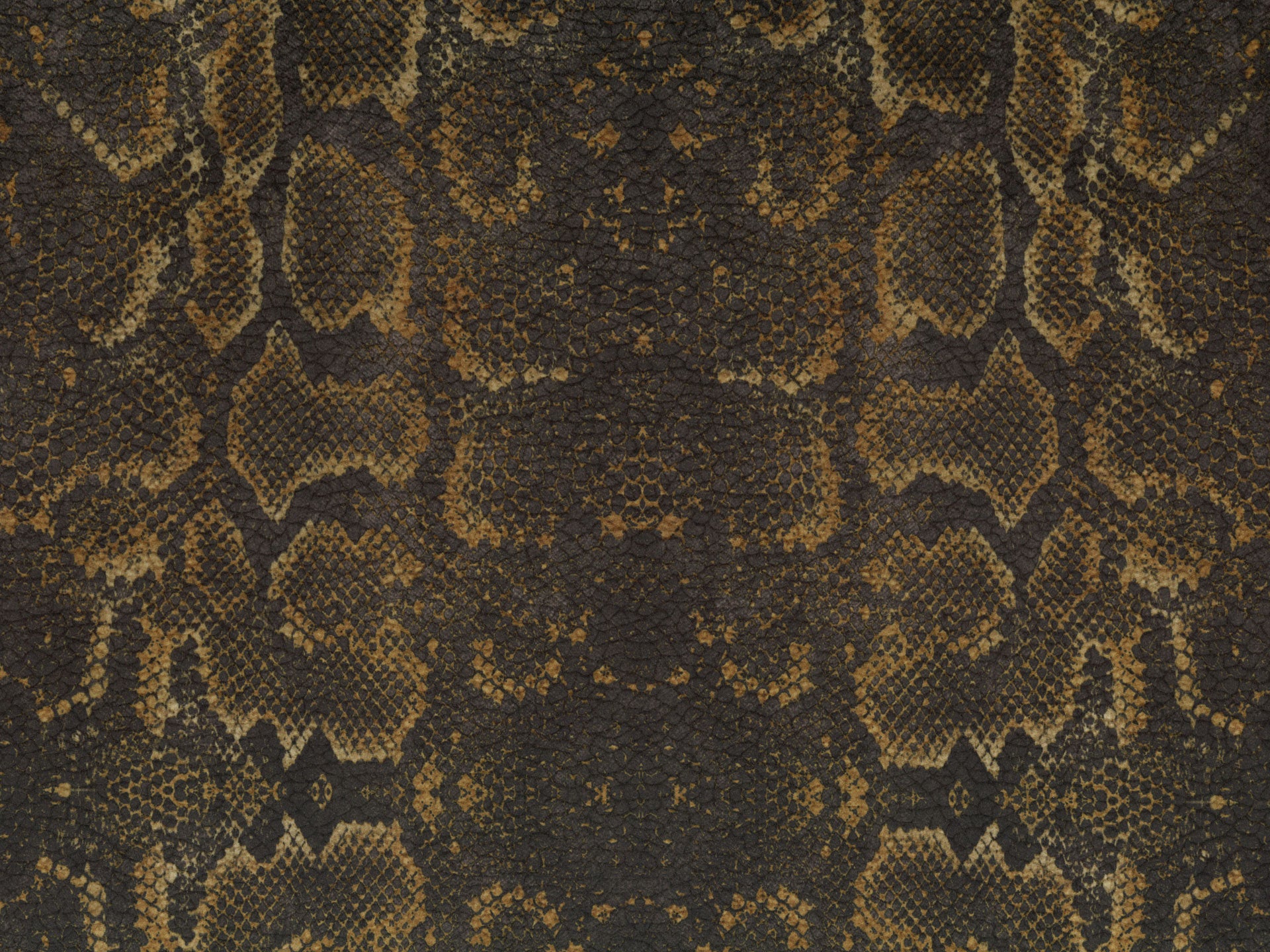 Wild cuscino in collezione Wild in microfibra impermeabile - divani.store