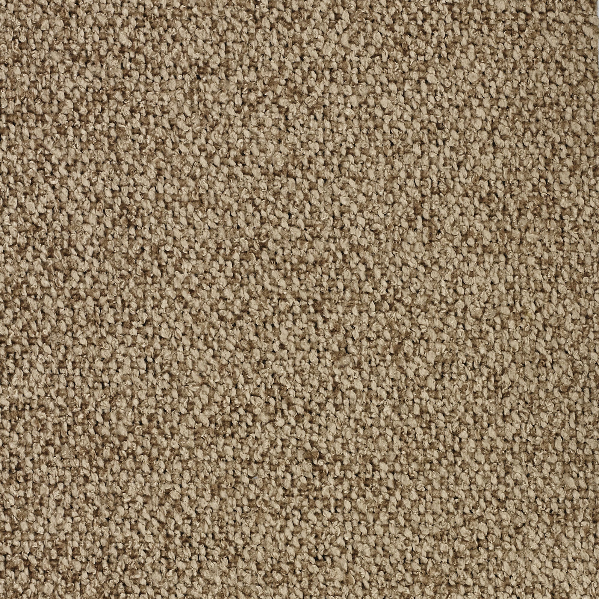 Vista ravvicinata di T33 Lambada di Divani.Store, un tappeto beige a pelo corto con un motivo uniforme a trama fitta. Realizzato in un fresco tessuto simile al cotone, resistente alle macchie e all'acqua, offre un aspetto morbido ma robusto di colore marrone neutro.