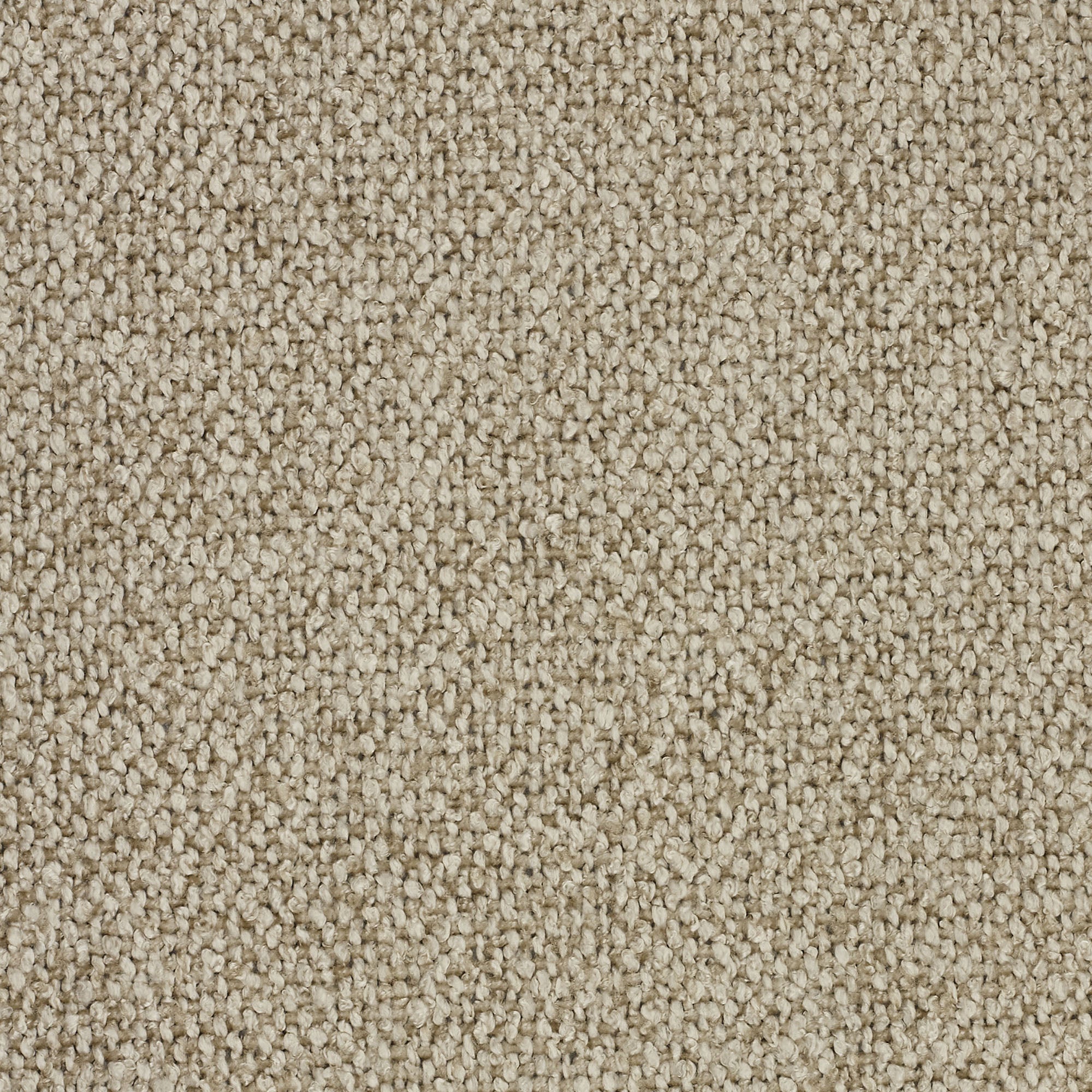 Primo piano del tappeto Personalizzazione in T33 di Divani.Store: tappeto beige con vello a trama larga. La superficie uniforme a trama fitta in colore marrone chiaro conferisce un aspetto morbido e caldo, ideale per la casa o l'ufficio.