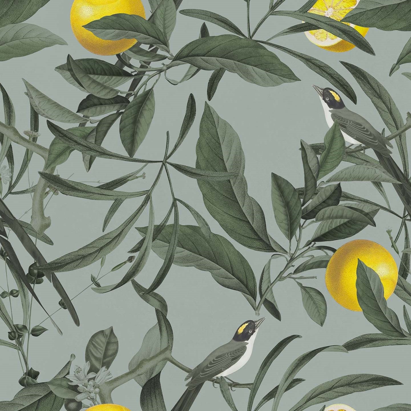 Lemon elegante collezione di cuscini a fantasia in velluto impermeabile - divani.store