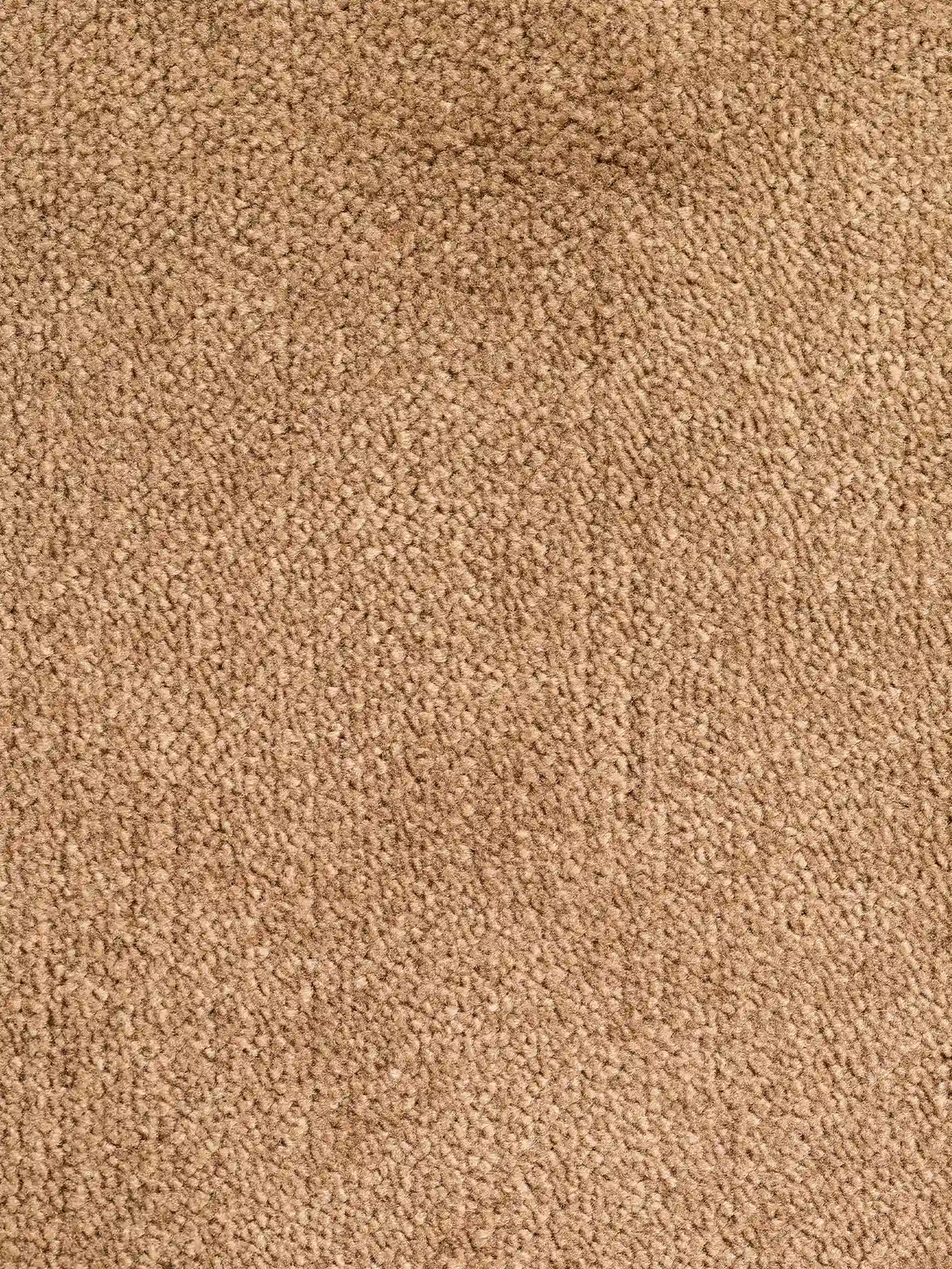 Un primo piano del tessuto S05 BRERA “velluto moderno soft-touch” color cuoio, caratterizzato da un pelo fitto e strutturato e da un elegante effetto vellutato, con fibre morbide e uniformi di colore marrone chiaro, ideali per tappezzerie moderne.