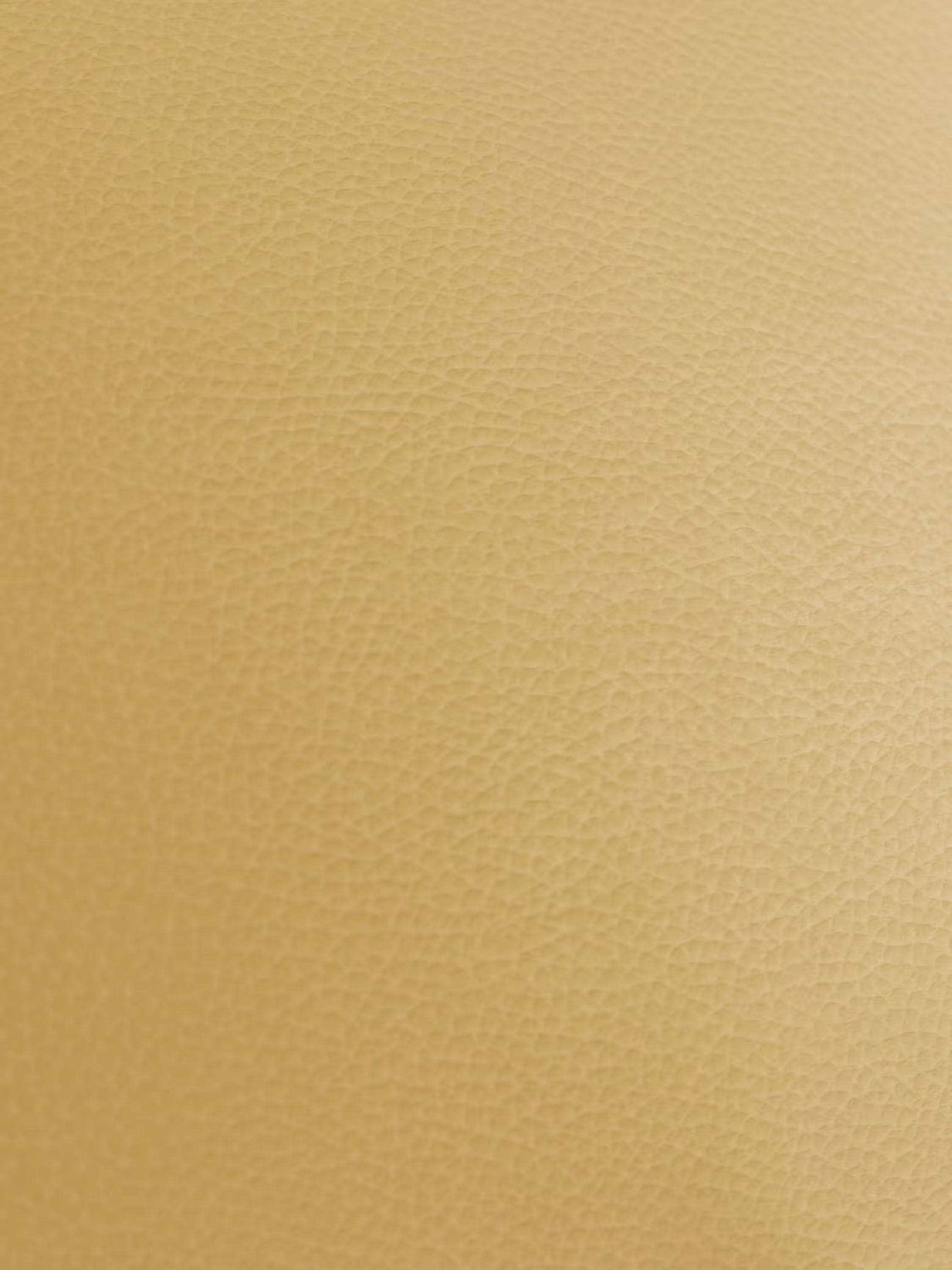 Primo piano della superficie in vera pelle color beige chiaro con texture del divano Chester 4 Posti 3 sedute in Vera Pelle – Chesterfield Capitonné Artigianale di Divani.Store, che ne evidenzia la grana fine e uniforme, tipica dell’artigianato di alta qualità Made in Italy. L’illuminazione morbida e uniforme accentua la trama delicata e le variazioni naturali, senza che siano visibili oggetti o forme distinte.