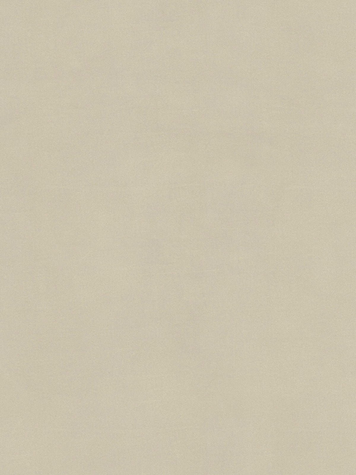 Uno sfondo beige uniforme e compatto, dalla texture liscia e opaca. Il colore tenue e neutro presenta sottili variazioni di sfumatura, conferendo un aspetto naturale e sobrio, ideale per design minimalisti o sfondi: perfetto per mettere in risalto arredi moderni come il divano Eclipse dal design moderno a 2 e 3 posti con schienali traslanti e piedini alti, realizzato in elegante microfibra smacchiabile T11 di Divani.Store.