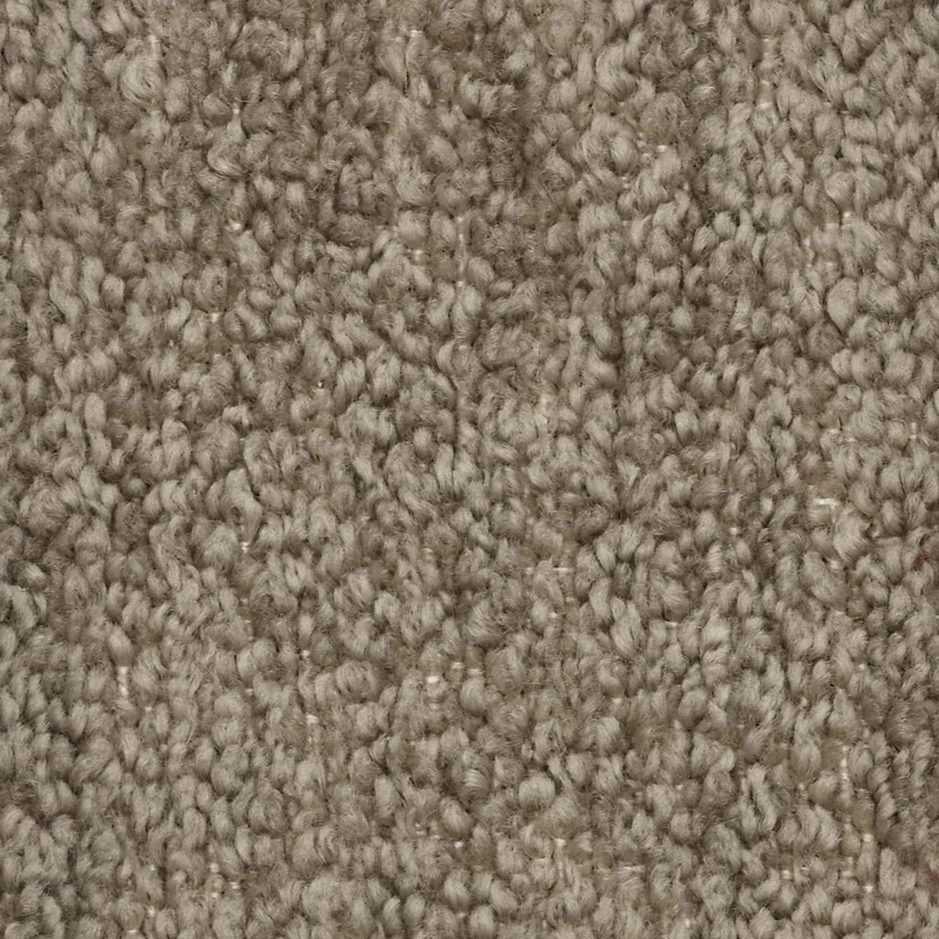 MOSAIC T21  TORTORA -