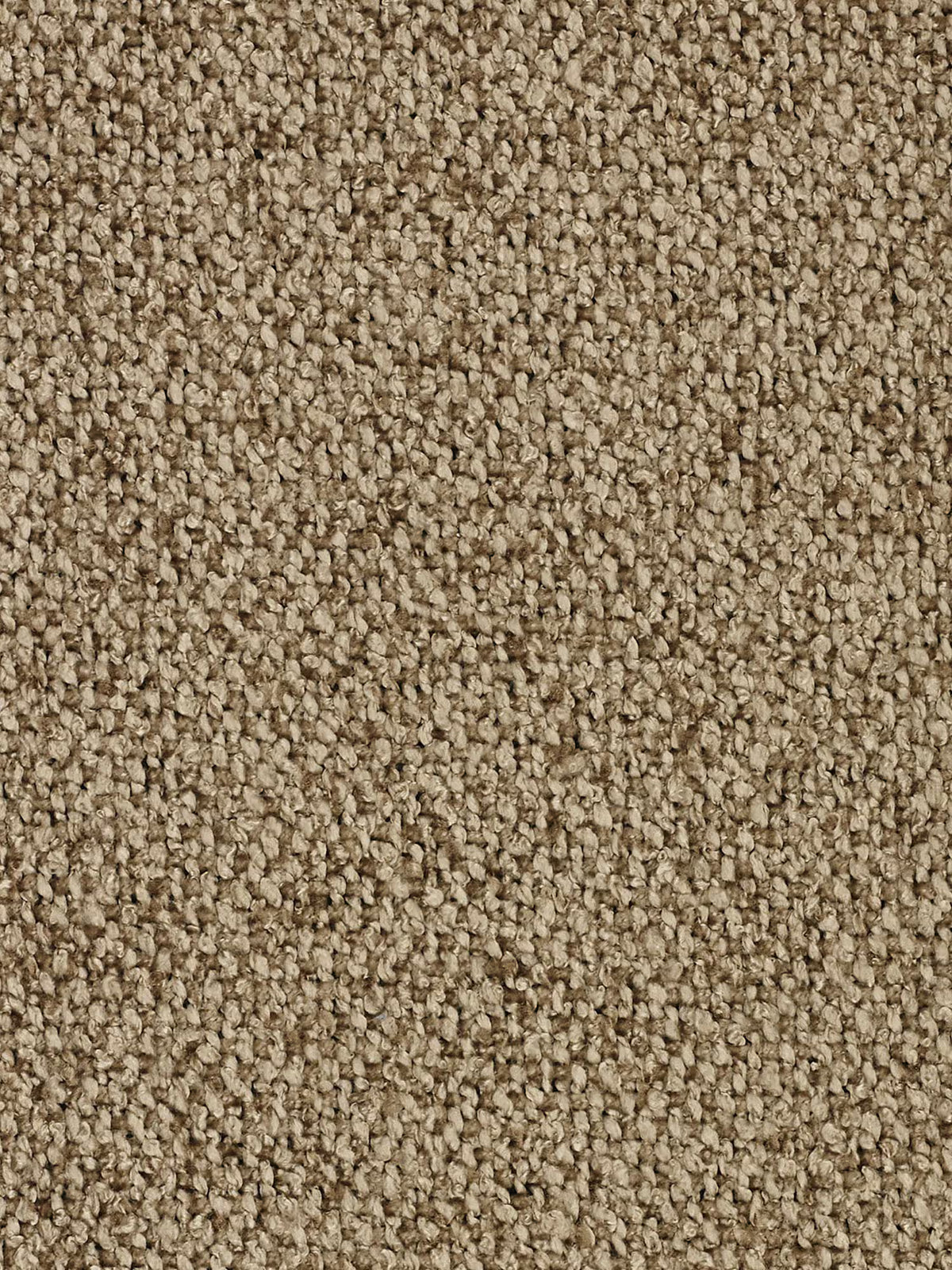 Primo piano di un tappeto a riccioli beige, caratterizzato da piccoli riccioli arrotondati e ben fitti in tonalità di beige chiaro e marrone chiaro, che creano una superficie dalla trama ricca e uniforme. Il materiale appare morbido, denso e resistente: un abbinamento ideale per il divano angolare panoramico componibile con penisola e angolo in tessuto smacchiabile T33 della linea Nimbus di Divani.Store.