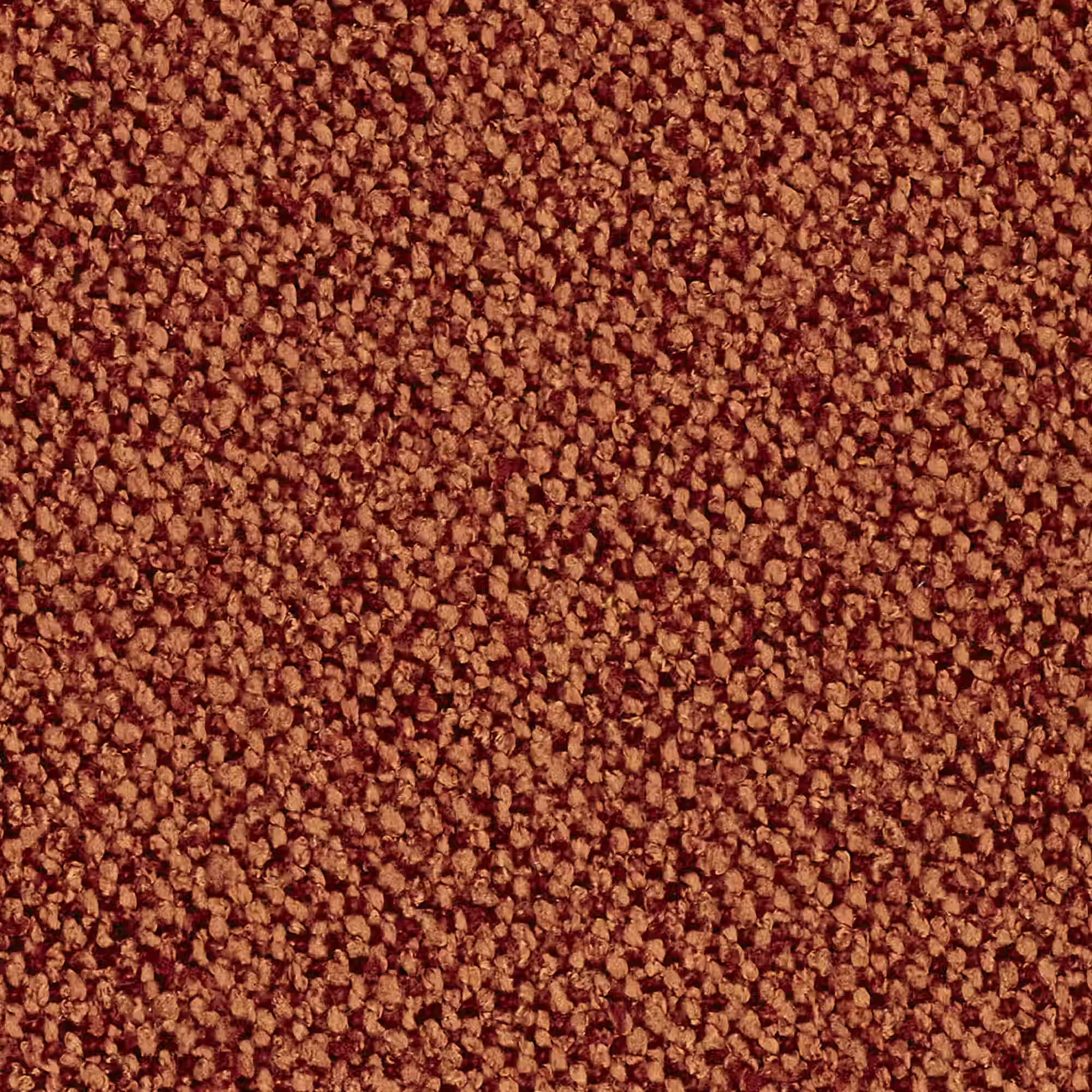 TOMMY TERRACOTTA -TESSUTO