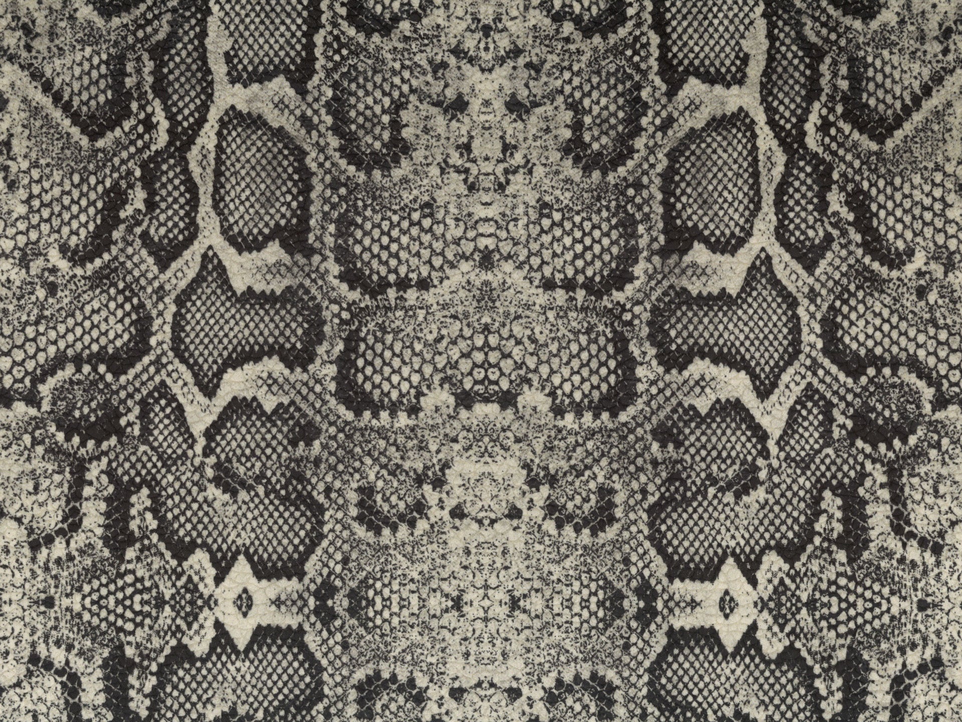 Wild cuscino in collezione Wild in microfibra impermeabile - divani.store