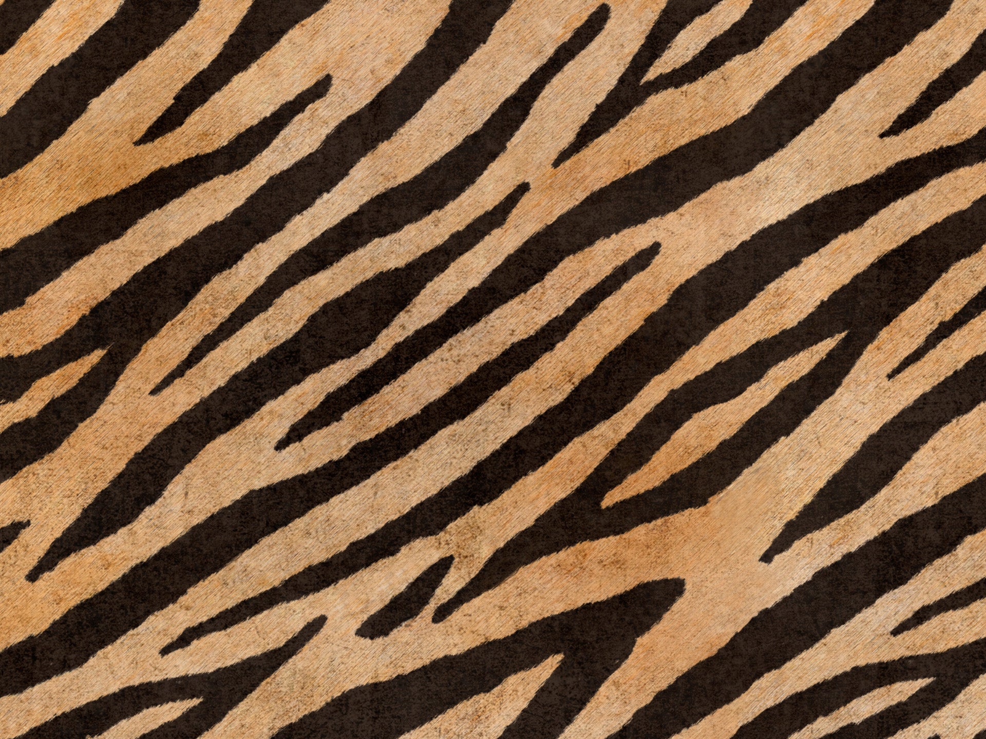 Wild cuscino in collezione Wild in microfibra impermeabile - divani.store